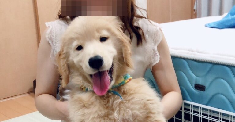 1ヶ月が経ちました